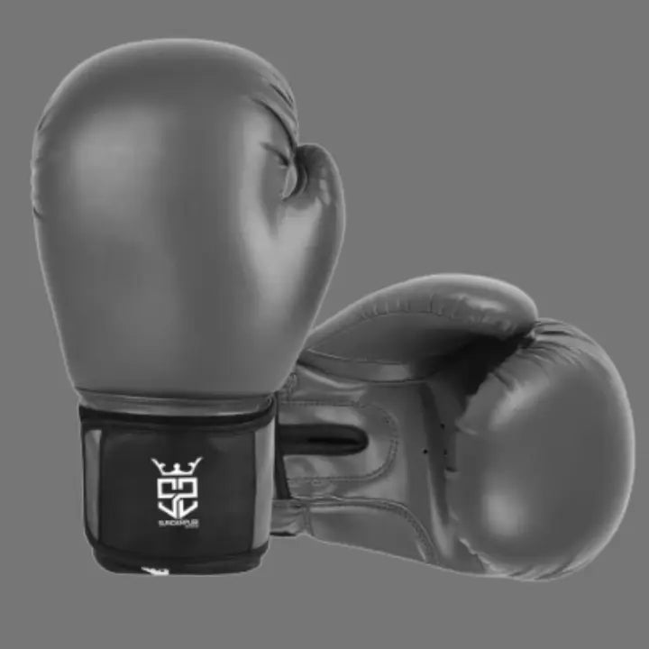 Stealth Pro Boxing Gloves