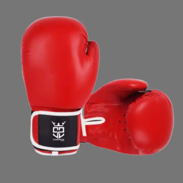 Pro Fight Boxing Gloves
